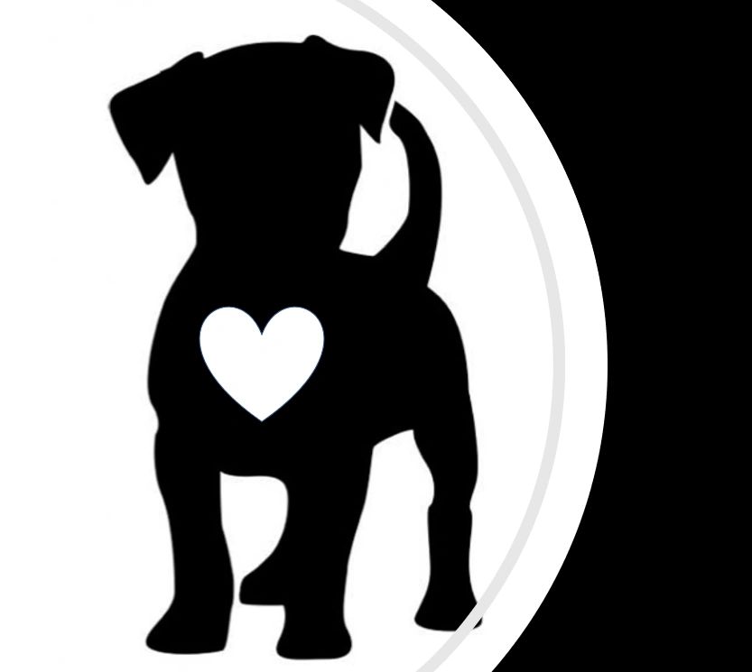The dog spot sales